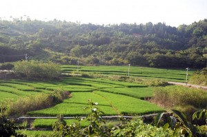 7 Day Trip to Renovation Hakka Earthen Building 