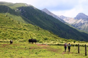 Trekking Mt Mingya Gongga