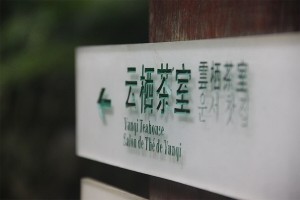 Hangzhou Culture Immersion Program