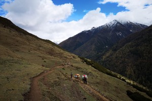 8 Day Trip to Climb Mt. Siguniang: Dafeng (5025m) Peak