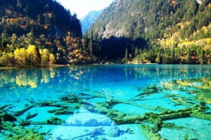 A Trip to Sichuan’s Natural Wonders