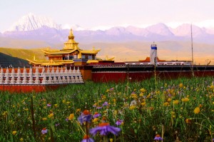 Into the Kham Tibet of West Sichuan