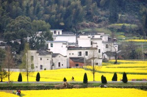 China’s Country Life